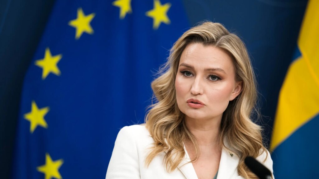 Regeringen pausar elkabel till Danmark – Buschs kritik mot EU