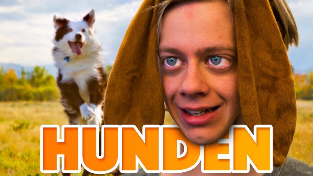 Fördelarna med att vara hund