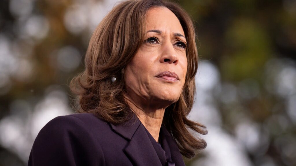 Demokraternas valanalys: Vi svek Kamala Harris