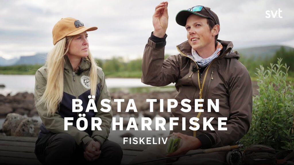 Så lyckas du med harrfisket | Fiskeliv | SVT