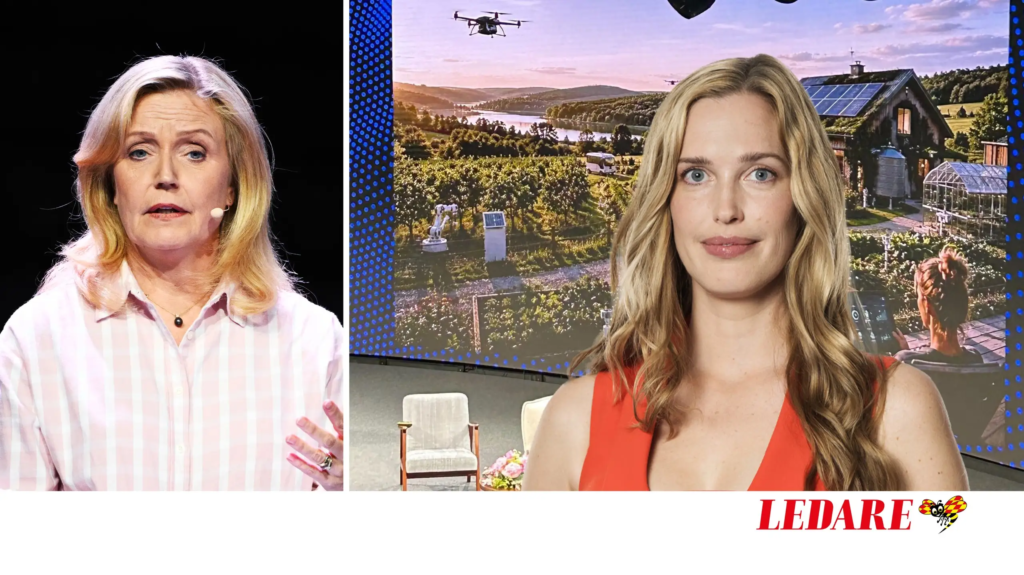 Centern vill göra
en repris på fiaskot | Linda Jerneck