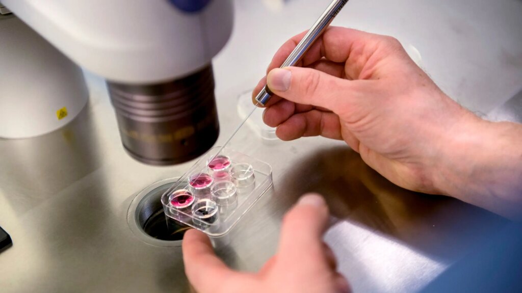DEBATT: Detta måste unga förstå om sin fertilitet