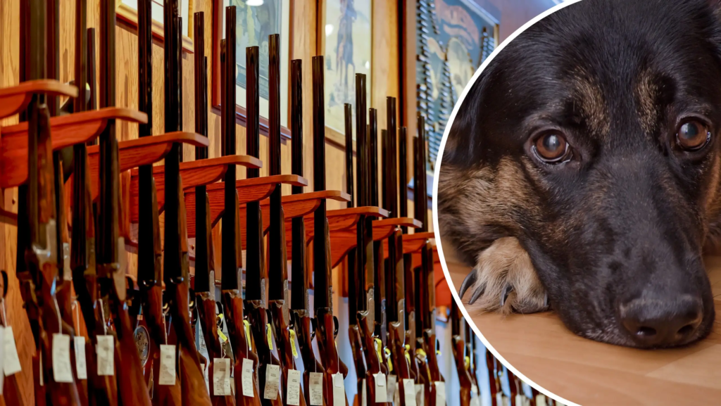 Kvinna skjuten i armen – av en hund