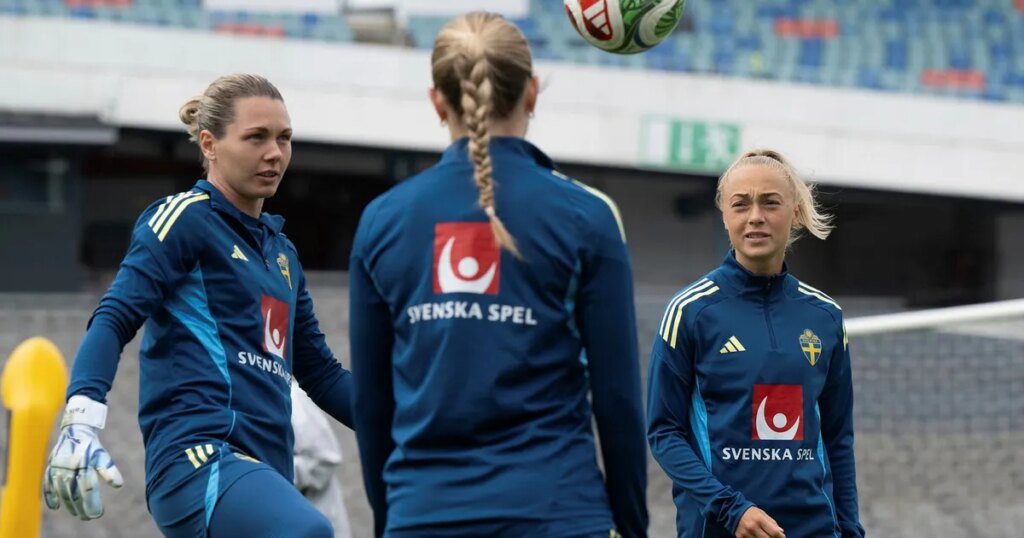 Guide: Svensk ödesmatch i kvalet till fotbolls-VM i Brasilien