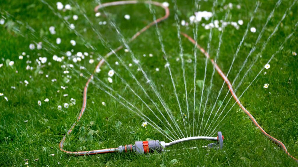 ”Det räknas inte som ’husbehov’ att vattna gräsmattan.” – Sydsvenskan